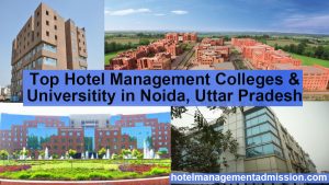 Hotel Management Colleges in Noida